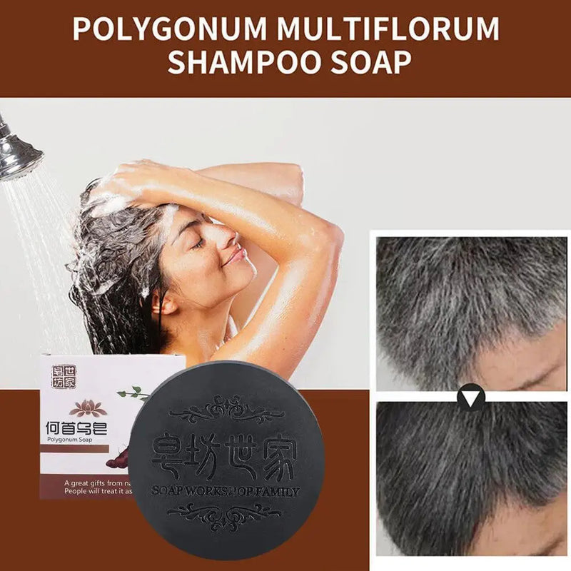 WOWHUB™Polygonum Shampo Bar