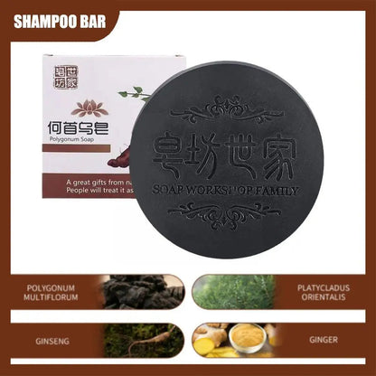 WOWHUB™Polygonum Shampo Bar